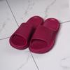 New Summer Thick-soled Slippers Go Out At Home Trend Versatile Stepping On Shit Feeling Thickened Anti-sandals One-word Drag
