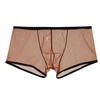 Sous-vêtements transparents pour hommes, sous-vêtements ultra-fins, taille basse, boxer transparent, sexy, séchage rapide, maille pour hommes