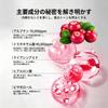 Arbutin Tranexamic Acid Cream Face Cream Moisturizing Beauty Cream with Niacinamide and Hyaluronic Acid 50g Dullness Brightening Suitable for