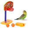 Bird Parrot Training Toy Pet Parakeet Basketball Hoop Props With Chew Balls Intelligence Toy For Bird Trick Education Playing