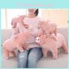 Simpatico peluche a forma di maialino rosa, morbido e soffice, ideale come cuscino per dormire, disponibile nelle misure 25/40/60 cm. Dimensioni comode.