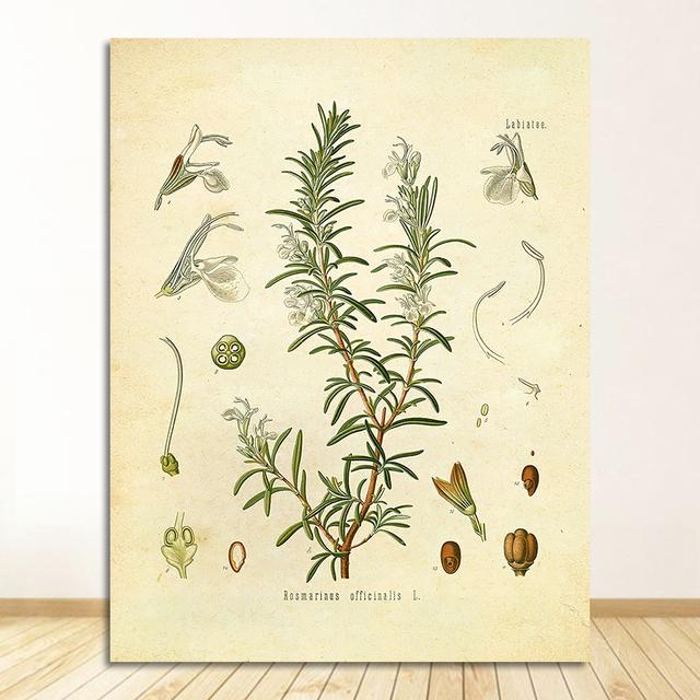 

Плакат Петрушка Шалфей Розмарин Тимьян Кулинарная Настенная Картина Картина на холсте Кухонный Декор Специи Травы Печать Винтаж Ботанический Без Рамки 21*30cm