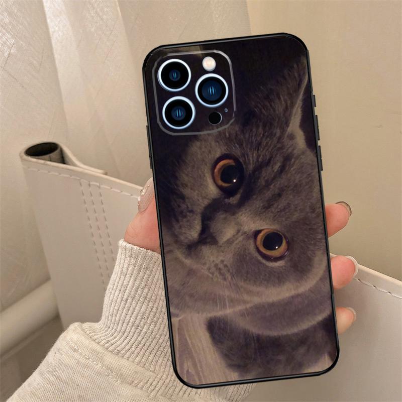 British Shorthair Cat Phone Case For iPhone 16 15 14 11 12 13 17 Pro Max Mini 15 16 Plus 16e 17 Air Cover Coque