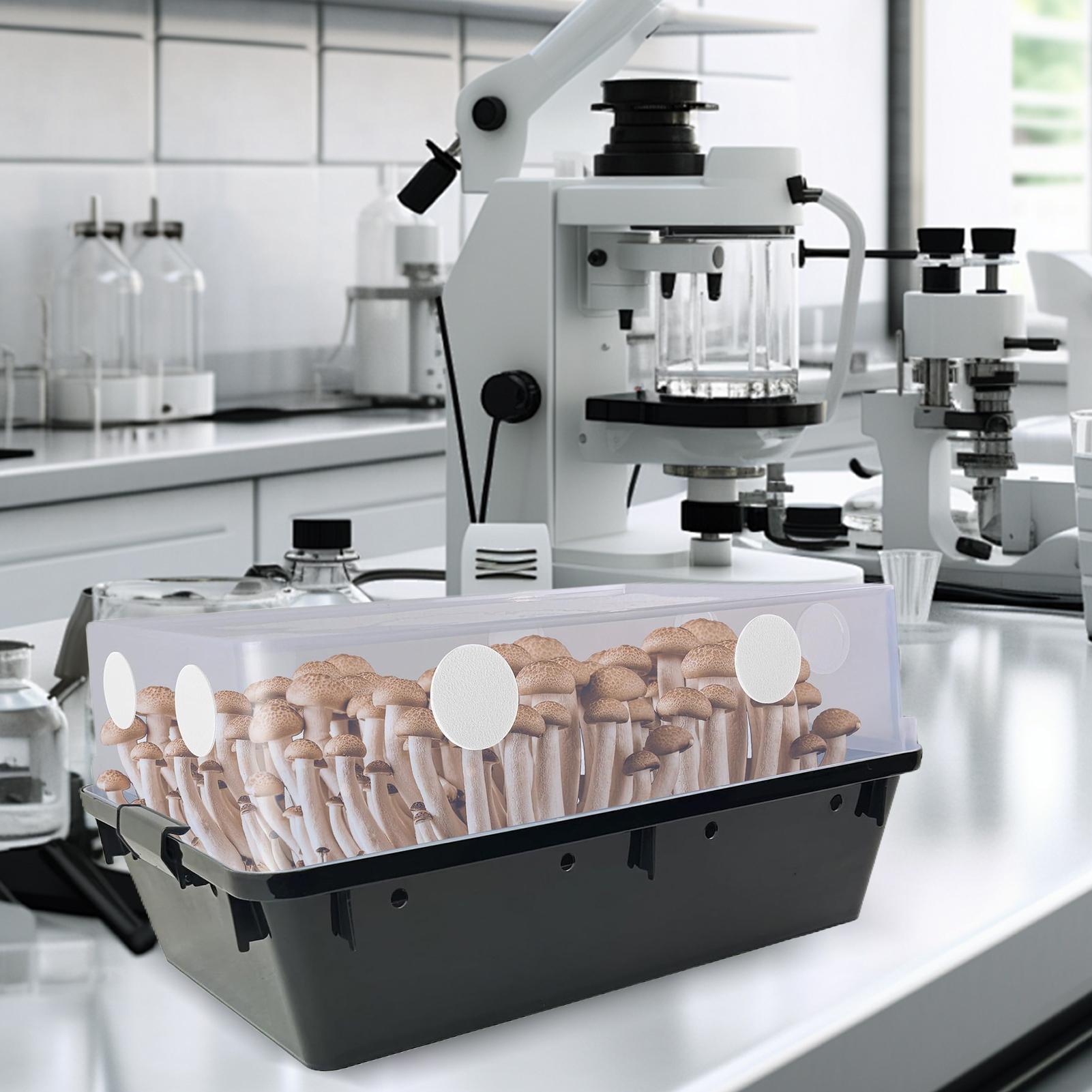 

Monotub Filters Monotub Filters For Mushroom Growing Versatile Efficient Mushroom Cultivation Supplies For Adults Enthusiasts CHINA