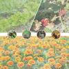 Garden Bed Cover Netting Plant Insect Barrier Netting with Drawstring Fine Mesh Bird Netting for Raised Garden Bed Planter Box Protection from Animal