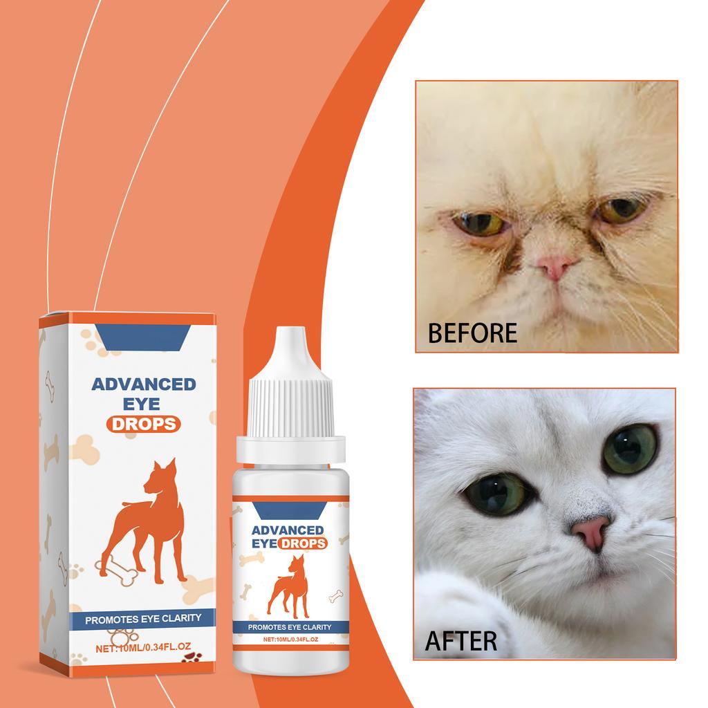 Advanced Eye Drops;Cataract Drops For Pets;Eye Lubricating Drops For Dog &  Cats Mild Ingredients In Eye Tissue And Muscles10ml – buy the best products  in the Ayzeze online store