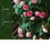 Künstliche Rosenblüten-Ranke für Wand- und Decken Dekoration