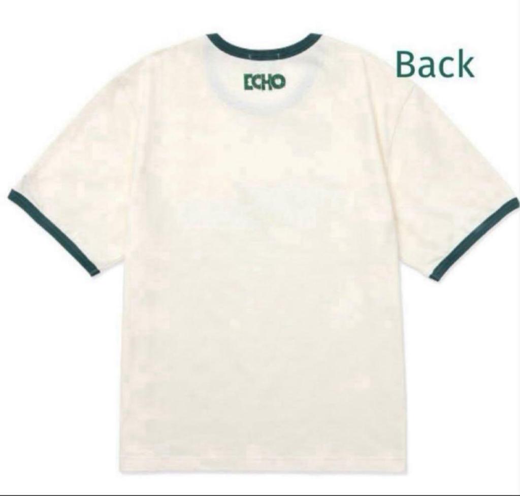 [USED] JIN [Echo] S/S T-SHIRT L size official item