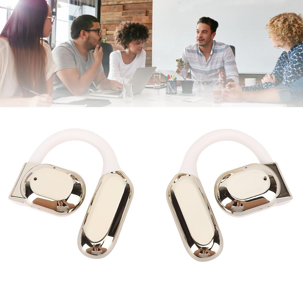 Translation Earbuds Earhook Active Noise Reduction Wireless   AI Language Translator Earbuds