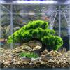 Plastic Simulation Aquatic Plant Natural Look Lifelike Tree Underwater Plants Artificial Welcome Pine Realistic Pine Tree