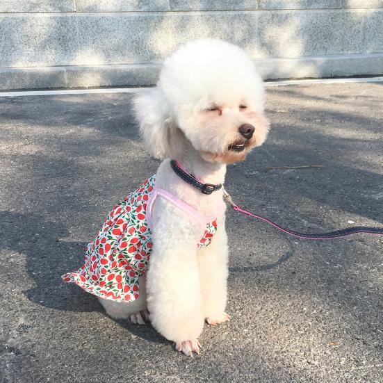 Yousheng Pet Dress Sling Floral Printing Pleated Hemming Summer Dog Two-legged Clothes for Outdoor