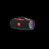 Newmine BT100 Outdoor Portable Bluetooth Speaker CN plug (adapter included)