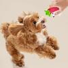 Pet Toy Molar Teeth Guard Soft Tough Chew Toy Cartoon Fruit Animal Design Bite-Resistant Tooth Cleaner Dog Toy with Built-in Sound
