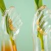 Handmade Hydroponic Glass Vase Transparent Flower Arrangement Vase Flower Holder  Living Room