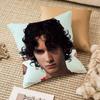 Sombr Pillow Case Anti-Dustmite Invisible Zipper Sofa Bed