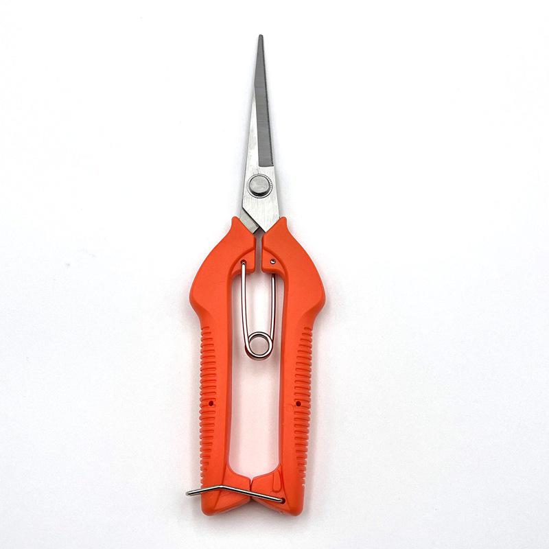 Grape and Flower Arranging Pruning Shears – Ideal for Fruit Picking and Gardening