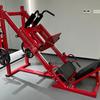Yishi Dual-Function Leg Press & Hack Squat Machine