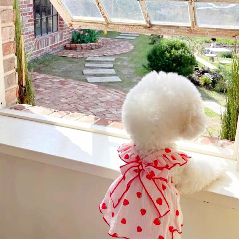 Summer Dog Dress Cute Strawberry Print Bowknot Skirts Cat Princess Dress Chihuahua Yorkie Sweet Skirts Puppy Costume Pet Clothes