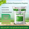 Monopotassium Phosphate Flower & Fruit Tree Fertilizer for Home & Garden