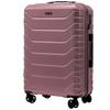 Set of 4 Wings Crake Suitcases // + Rose Gold Trunk