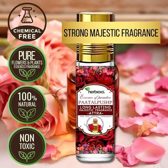 Dhoop with Attar Combo Set for Pooja | Herbal Dhoop and Pooja Attar Combo Pure Fragrances Range of Rose, Chandan, Oud (Rose (Gulaab))