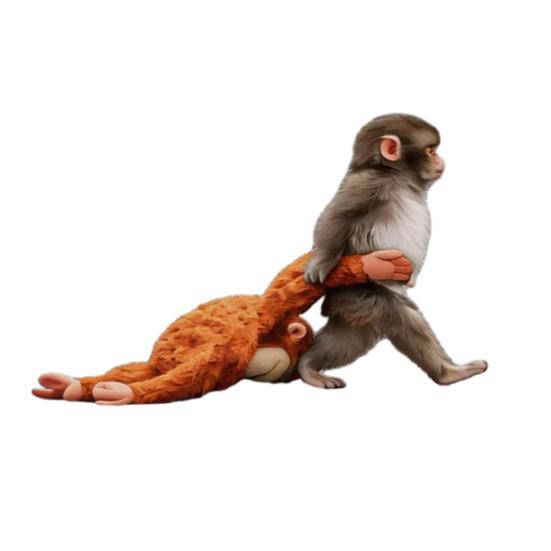 Monkey Stickers Adorable Baby Monkey for Car And Window Decal Glass Surfaces Easy to Install Remove S