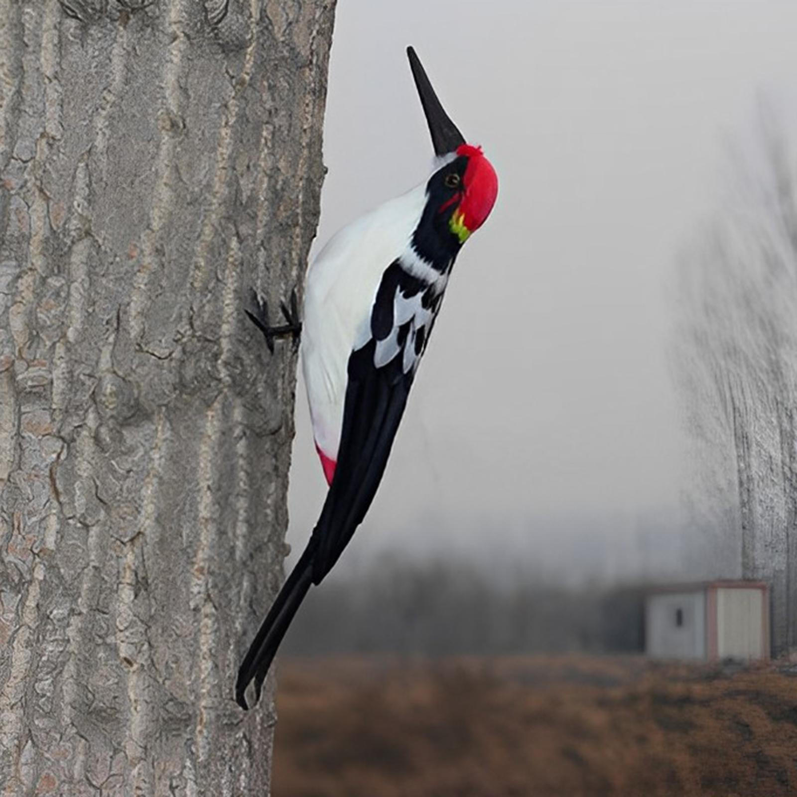 

Model for Garden Decoration Outdoor Style A