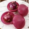 5-1Pcs Sealed Creative Organizer Onion Garlic Green Pepper Fresh Crisper Kitchen Fruits Vegetables Preservation Storage Boxes
