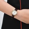 Casio STANDARD Series Retro Pointer Series Classic Waterproof Quartz Movement Leather Strap Japanese and Korean Watch Women's Watch LTP-V005GL-7A