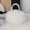 Crossbody bag niche pumpkin bag new portable imitation wool bag fashionable versatile cloud pleated bag
