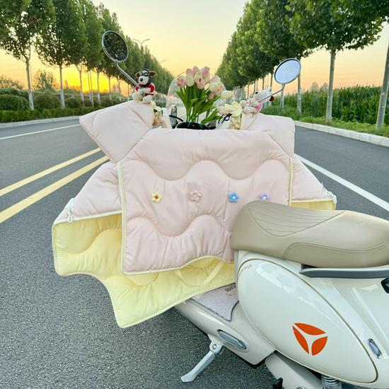 All-Season Electric Car Windshield Cover: Extra Large, Thick, Double-Sided & Waterproof with Side Wings