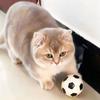 4Pcs Cat Soccer Toy Interactive Bouncy Ball For Kittens And Adult Cats The Perfect Indoor Entertainment Toy