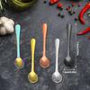 5 Pcs Tiny Spoon Small Stainless Steel Spoons for Salt Seasoning Sugar Desserts Honey, Sauce Serving Spoon, Cute Little Condiment Scoop for Cake