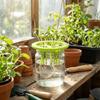 20PCS Plastic Hydroponic Seedling Pots 3 Holes Portable Colonization Cup Breathable Planting Mesh Pots Vegetable Nursery