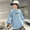 Boys Handsome Fashion Hoodie 2025 Spring Children's Casual Top