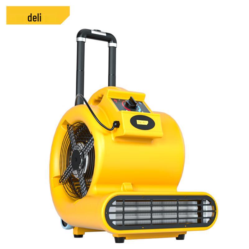 DeLI 3000W Hot and Cold Hair Dryer CN plug (adapter included)