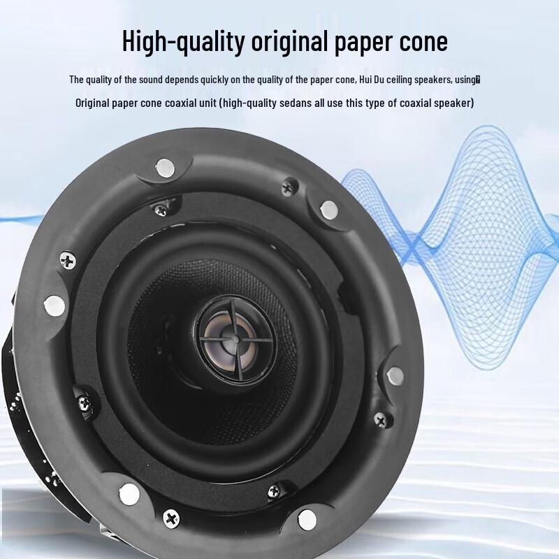 Huido Professional Coaxial Ceiling & Public Address Speakers (CN version)