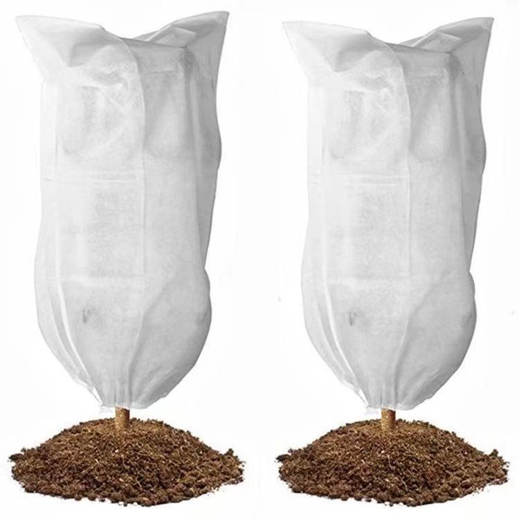Insect Net Bag for Fruit Trees, Flowers, and Plants: Protects Apples, Cherries, Blueberries, Vegetables, Roses, and Greenery.