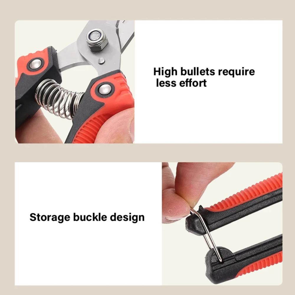 Stainless Steel Pruning Shears Sharp Branch Scissors with Non Slip Handle for Garden Fruit Tree Trimming Tools