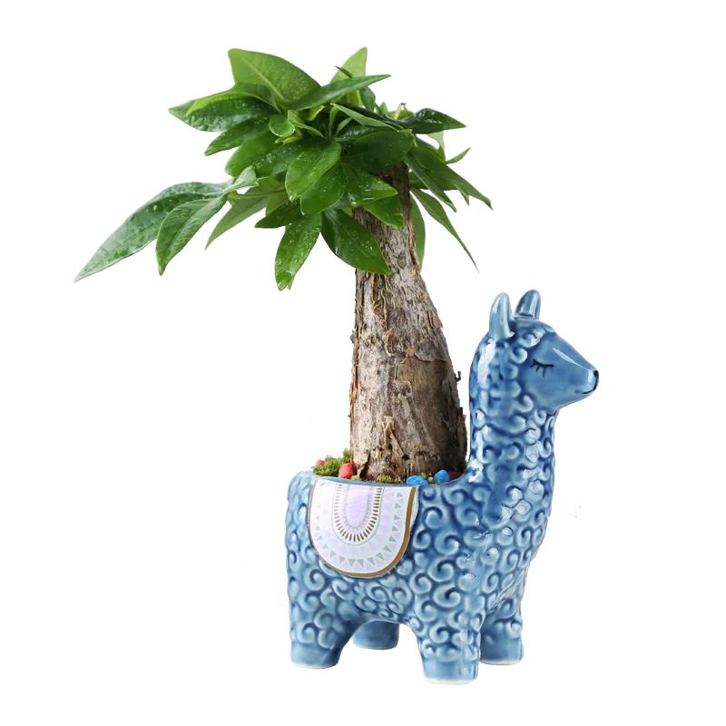 Ceramic Sheep Shape Animal Flower Pots Mini Pig Plant Pot Basin Micro Vase Bonsai Succulent Planter Decor Crafts Potted Pottery