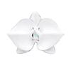 Elegante Emaille-Ohrringe der Orchideen-Serie: 925 Sterlingsilber Nadelclips in einem vielseitigen chinesisch inspirierten Design