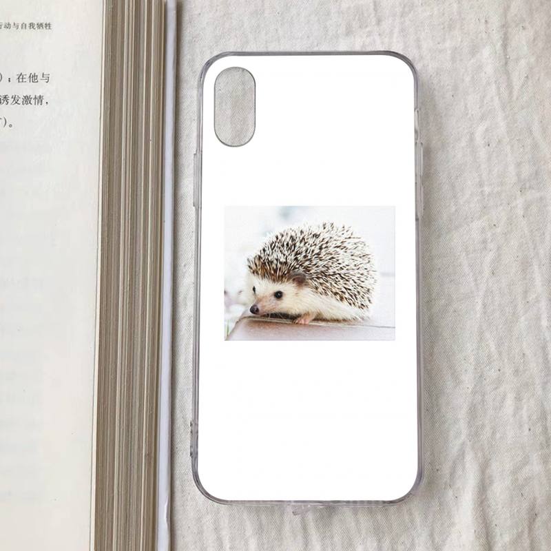 Cute Animal Hedgehog Phone Case for iPhone 11 12 13 mini pro XS MAX 8 7 6 6S Plus X 5S SE 2020 XR case