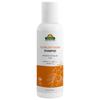 Biosash Sea Buckthorn Shampoo 200ml | Sulphate, Paraben, SLES-Free Shampoo for Hair Fall Control & Anti-Dandruff with Omega 3 6 7 9 | Sea Buckthorn