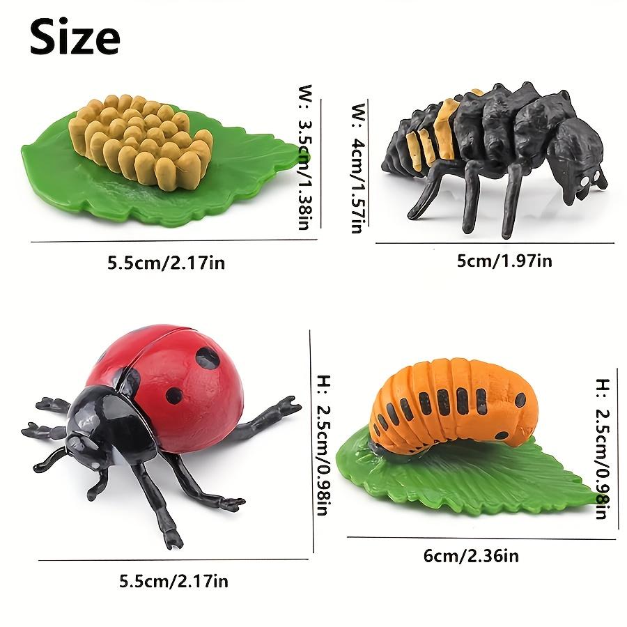Simulation Animal Model Insect Growth Cycle Model Set, Suitable For Home Decoration, Desktop Ornaments, Children'S Cognition