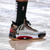 New Jordan XXXIV Jayson Tatum Welcome To The Zoo GS DA4451-900