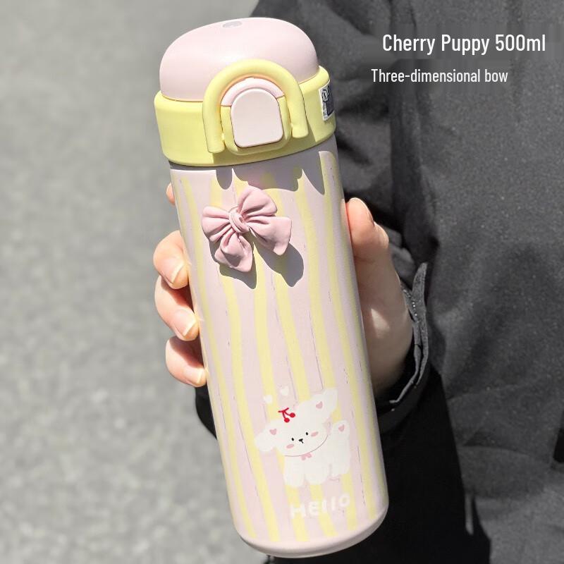 Taozhi Stylish Stainless Steel Insulated Straw Cup