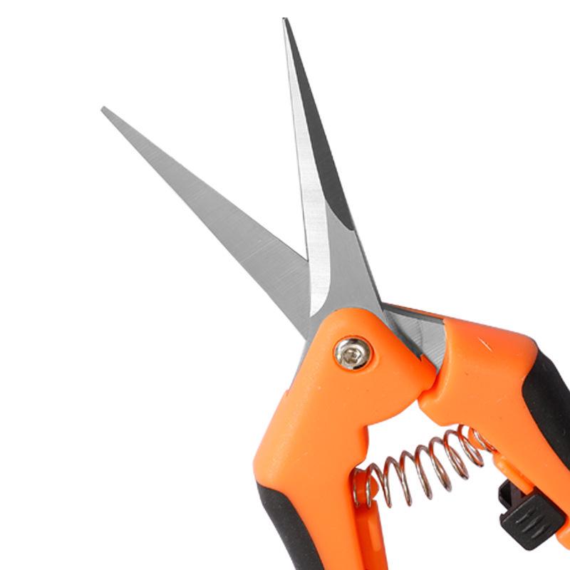 Garden Pruning Shears for Flowers and Fruit