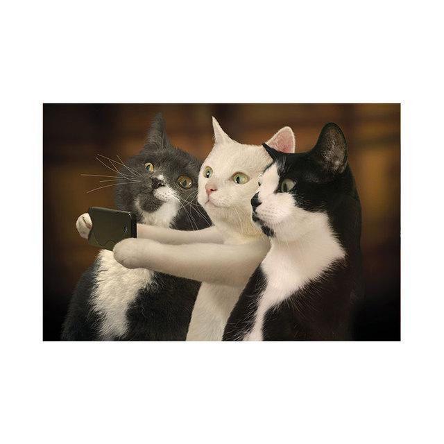 Funny Cute Cat Canvas Paintings Animal Big Eyes Kitty Posters and Prints Black and White Pictures for Kids BedRoom Home Decor No Frame