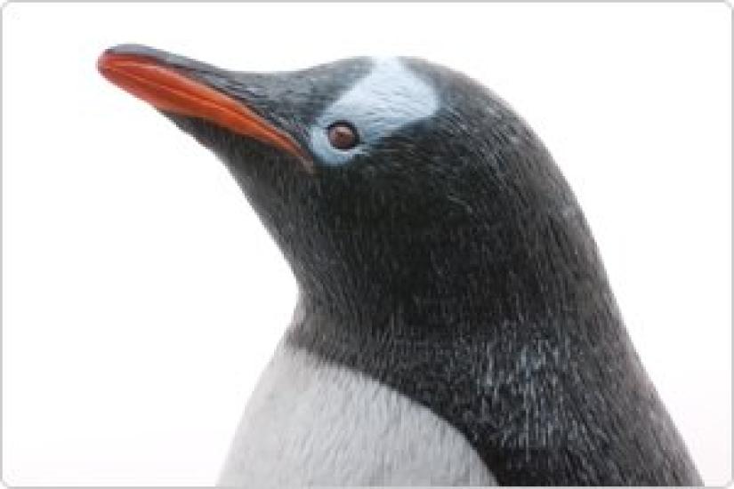 Gentoo Penguin Vinyl Model (FM-309)