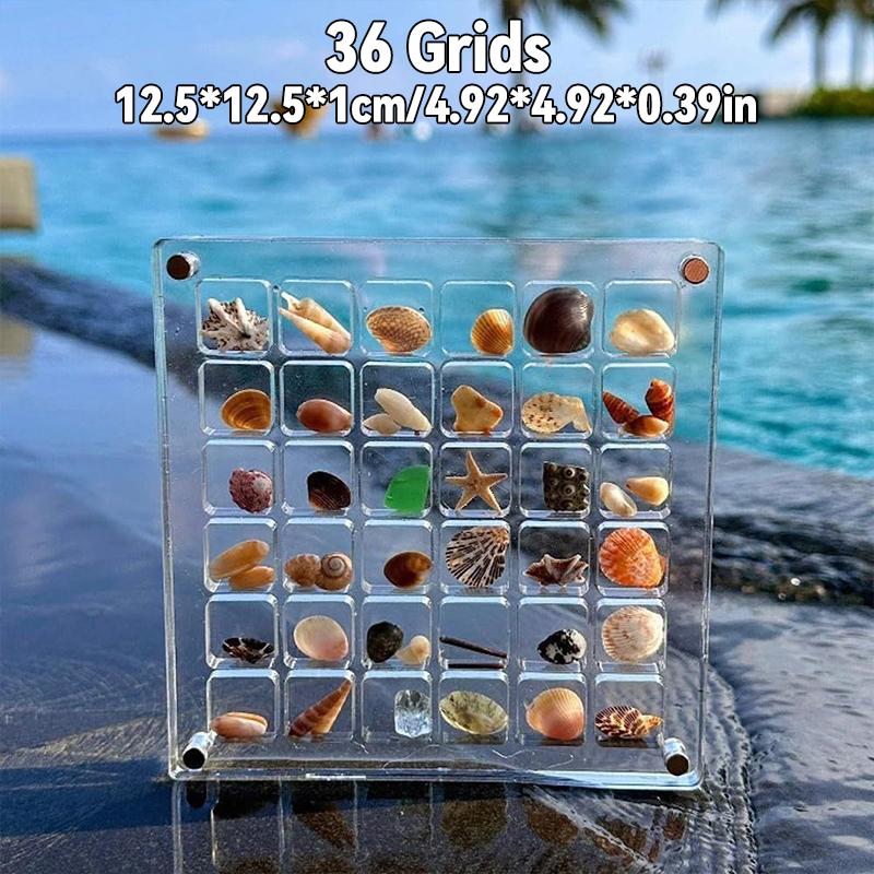 2X Acrylic Square Shell Storage Box Transparent Sea Shell Display Cabinet Magnetic Mini Beach Stone Gemstone Beads Storage Frame